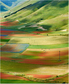 Castelluccio.jpg